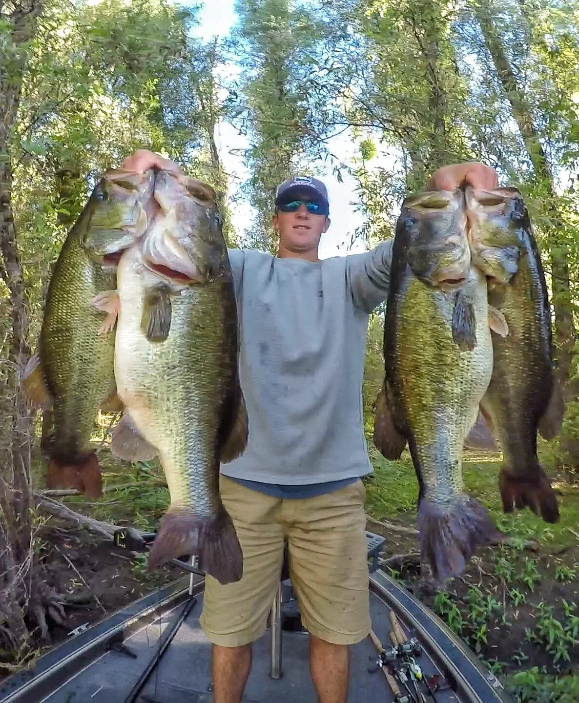 絵画 Matthew Allen TOWARDS SUMMER Matthew Allen TOWARDS SUMMER